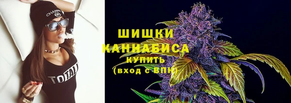 ГАЛЛЮЦИНОГЕННЫЕ ГРИБЫ Няндома