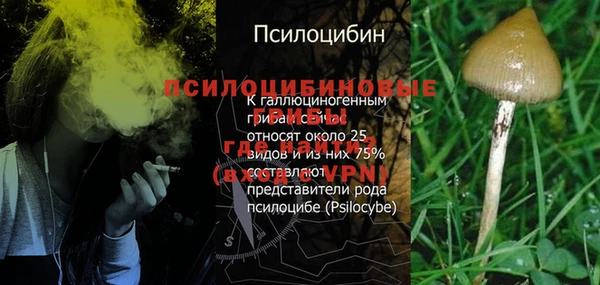 ГАЛЛЮЦИНОГЕННЫЕ ГРИБЫ Няндома