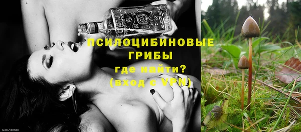 МДМА Новодвинск