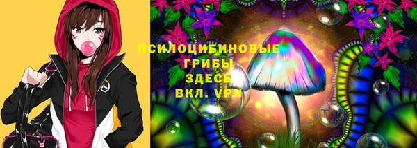 МДМА Новодвинск