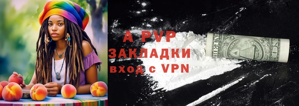 ГАЛЛЮЦИНОГЕННЫЕ ГРИБЫ Няндома