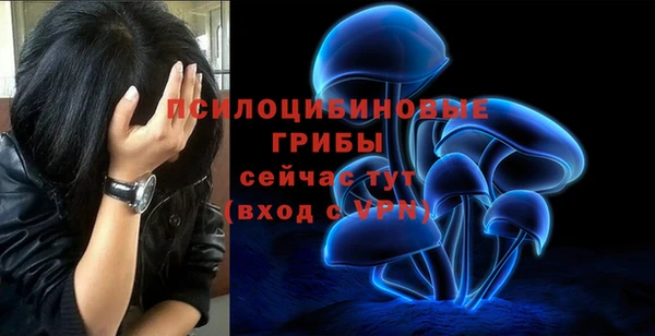 а пвп мука Осинники